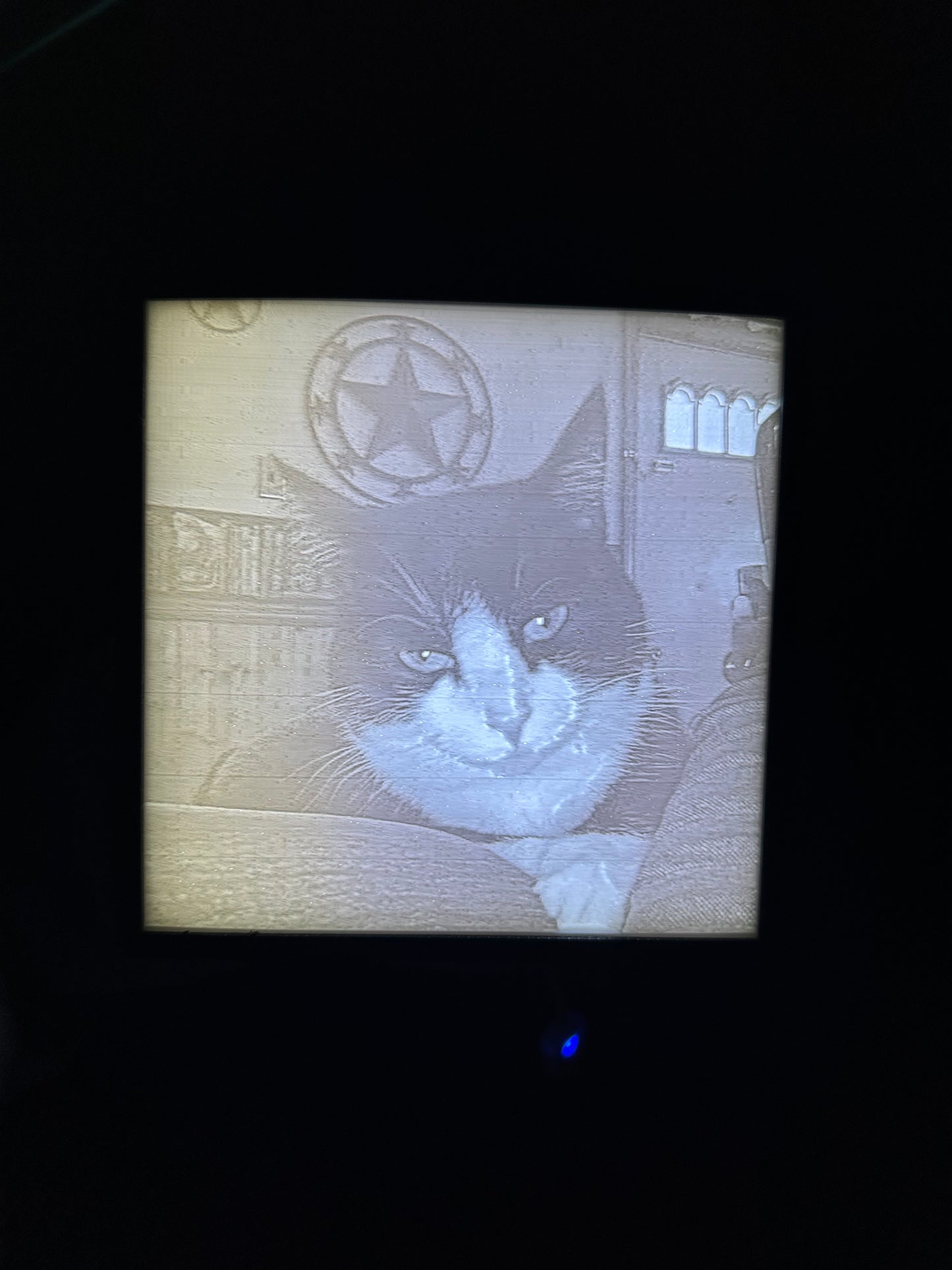 Monochrome Lithophane 6 1/2 x 8 1/2