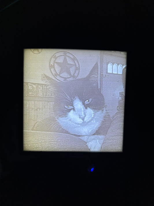 Monochrome Lithophane 6 1/2 x 8 1/2